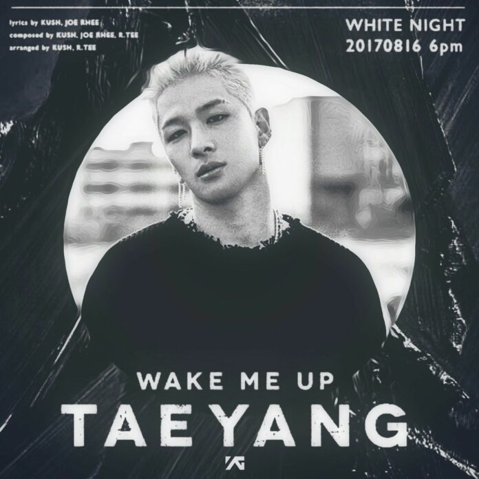 Bài hát Wake Me Up. Nguồn: Internet