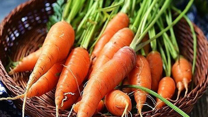 Nếu bạn có quá nhiều cà rốt và không dùng kịp, đông lạnh là một giải pháp hữu ích