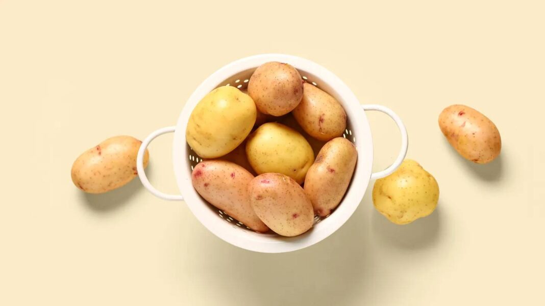 Nếu củ khoai trở nên mềm nhũn, nhăn nheo hoặc có mùi mốc, đó là lúc bạn nên loại bỏ