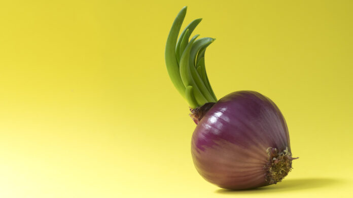 Hành mọc mầm không chứa chất độc và không gây hại cho sức khỏe