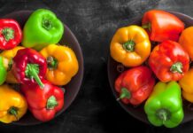 Mỗi loại ớt chuông có những giá trị dinh dưỡng riêng đồng thời cũng phù hợp với từng nhu cầu và khẩu vị khác nhau