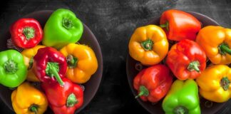 Mỗi loại ớt chuông có những giá trị dinh dưỡng riêng đồng thời cũng phù hợp với từng nhu cầu và khẩu vị khác nhau