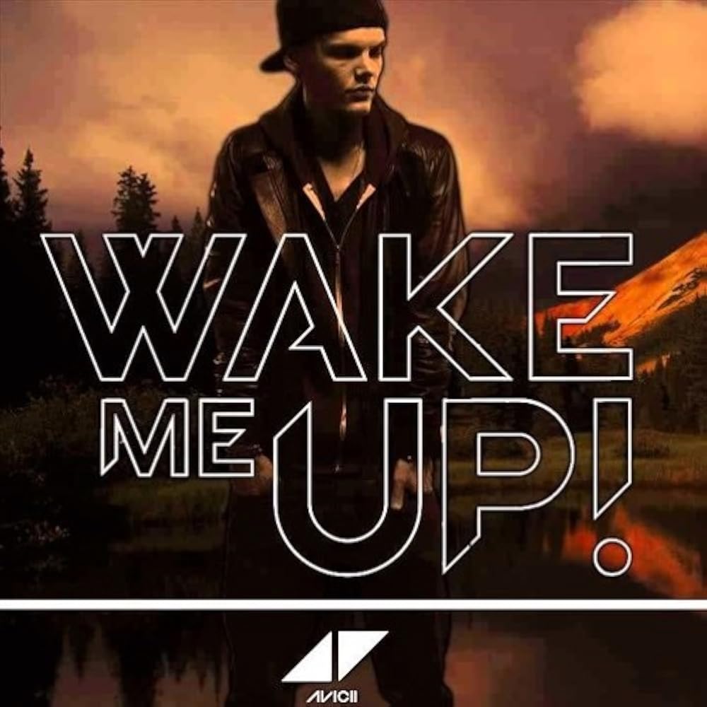 Bài hát Wake Me Up. Nguồn: Internet