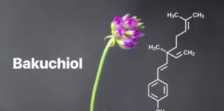 Bakuchiol là một hoạt chất chiết xuất từ hạt và lá của cây Psoralea corylifolia