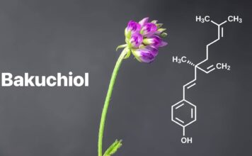 Bakuchiol là một hoạt chất chiết xuất từ hạt và lá của cây Psoralea corylifolia