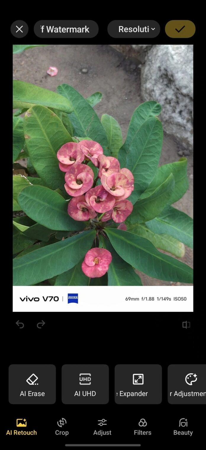 Camera của điện thoại Vivo V70 (Ảnh: Internet)