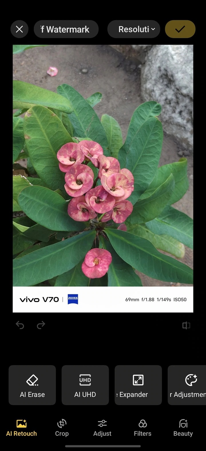 Camera của điện thoại Vivo V70 (Ảnh: Internet)