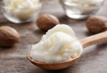 Tác dụng của bơ hạt mỡ trong việc nuôi dưỡng và bảo vệ làn da Sử dụng bơ hạt mỡ đúng cách giúp da khỏe đẹp hơn