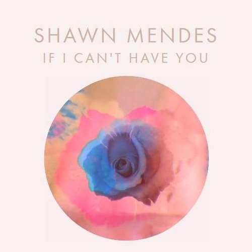 Top 10 bài hát hay nhất của Shawn Mendes âm nhạc Âu Mỹ nhạc hay quốc tế Top 10 bài hát hay nhất của Shawn Mendes