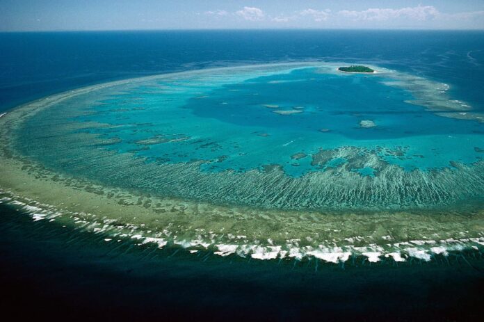 Great Barrier Reef. Nguồn: Internet