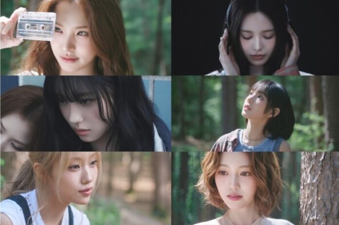 BABYMONSTER và izna “đối đầu” trong lần trở lại trong tháng 6 BABY MONSER comeback BABYMONSTER IZNA izna SET THE TEMPO SET THE TEMPO SUGAR HONEY ICE TEA