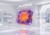 OpenAI ra mắt Jalapeño – mẫu chip AI tùy chỉnh đầu tiên của hãng (Ảnh: Internet)