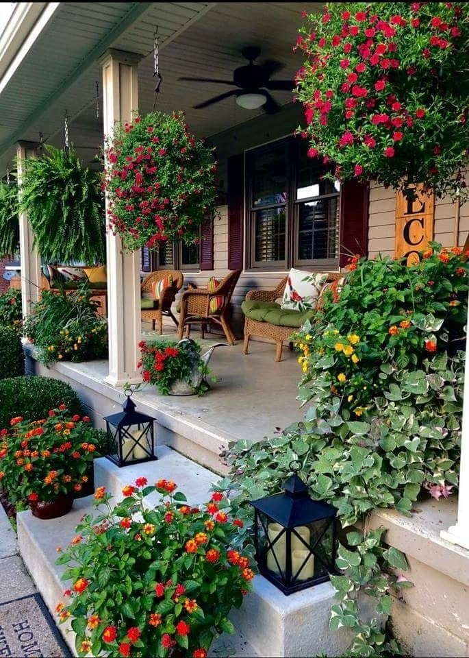 Cây cảnh không chỉ giúp làm dịu không gian mà còn mang đến cảm giác thư thái, gần gũi với thiên nhiên