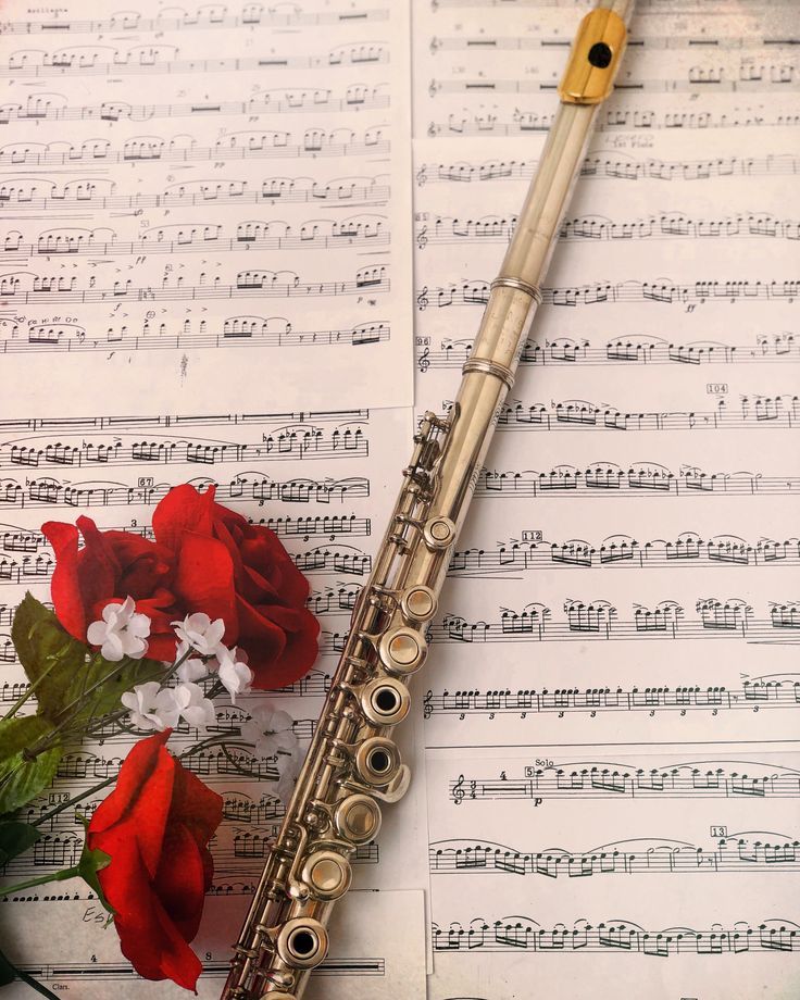 Flute (sáo Tây). Nguồn: Internet