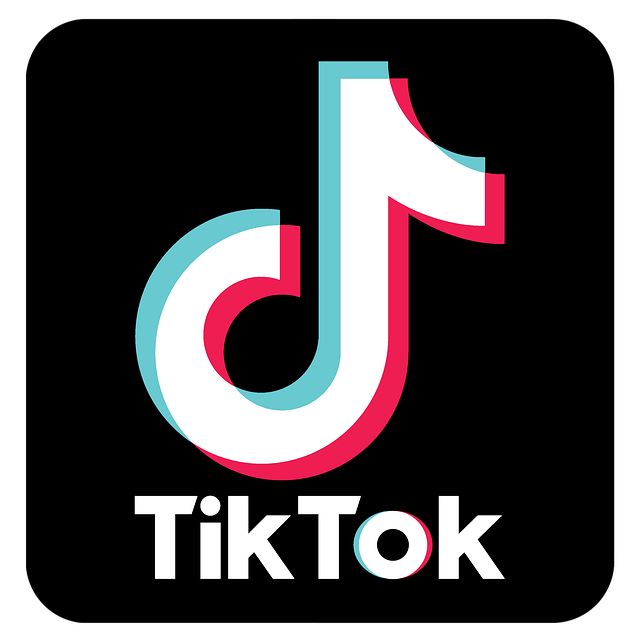 TikTok. Nguồn: Internet