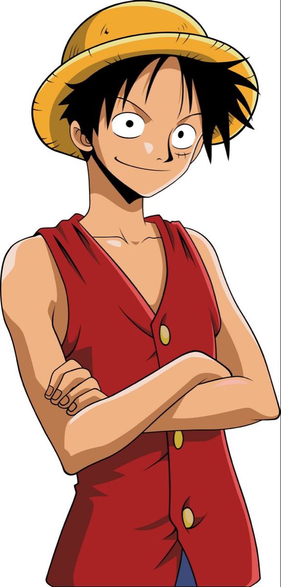 Monkey D. Luffy. Nguồn: Internet
